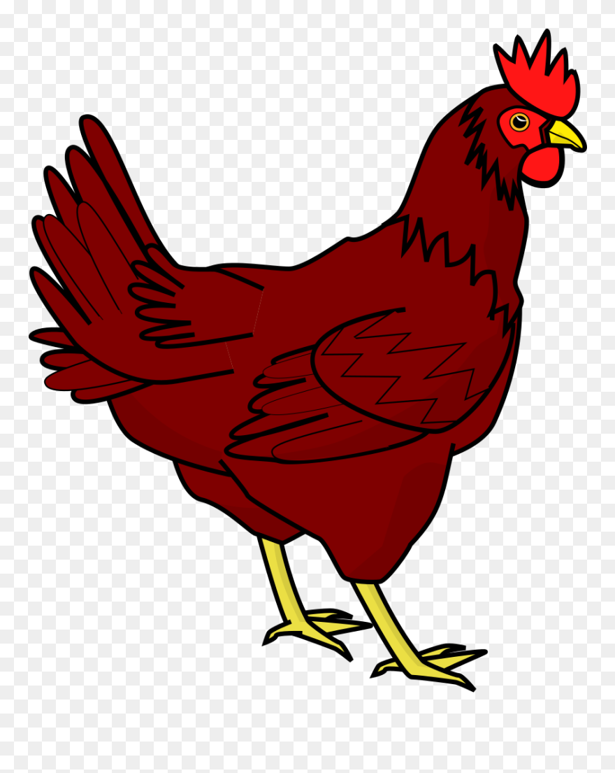 Transparent Background Chicken Clipart Png