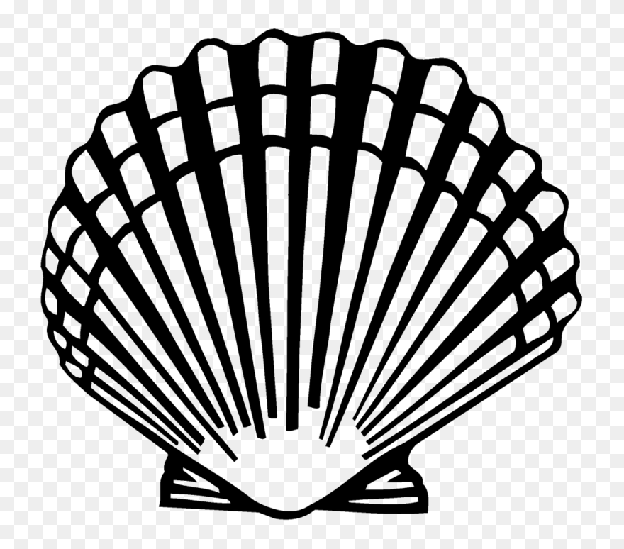 Seashell Clam Scallop Clip Art - Scallop Clipart - Png Download