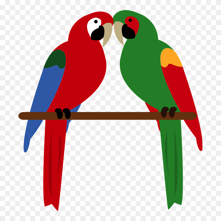 Green-winged Military Macaw Clipart - ベニ コンゴウインコ イラスト - Png Download