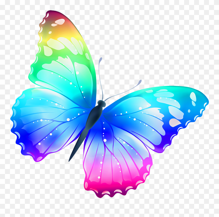 Butterfly Png Clipart
