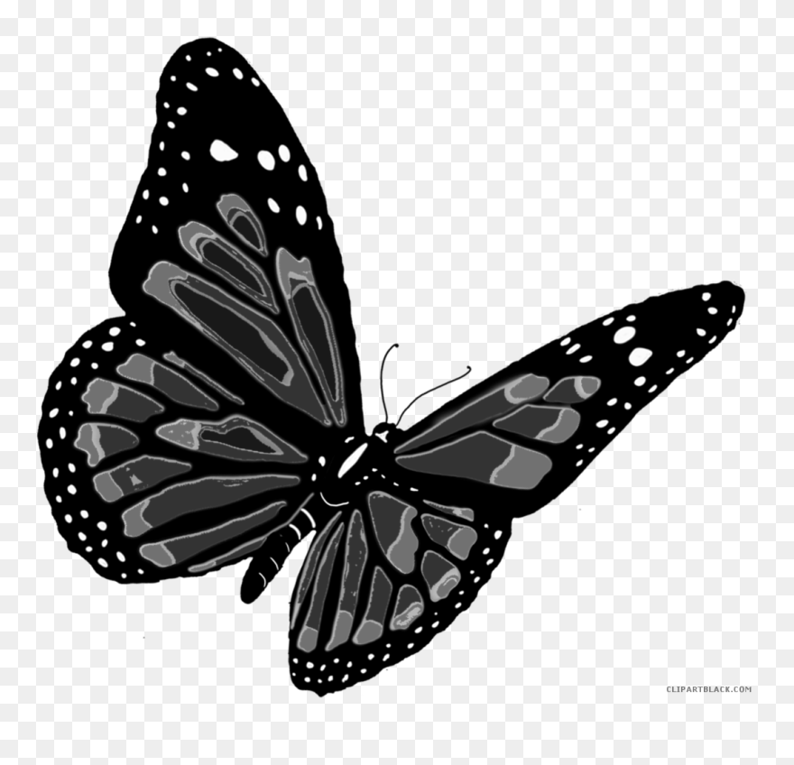 Flying Butterfly Animal Free Black White Clipart Images - Flying Butterfly Purple Png Transparent Png
