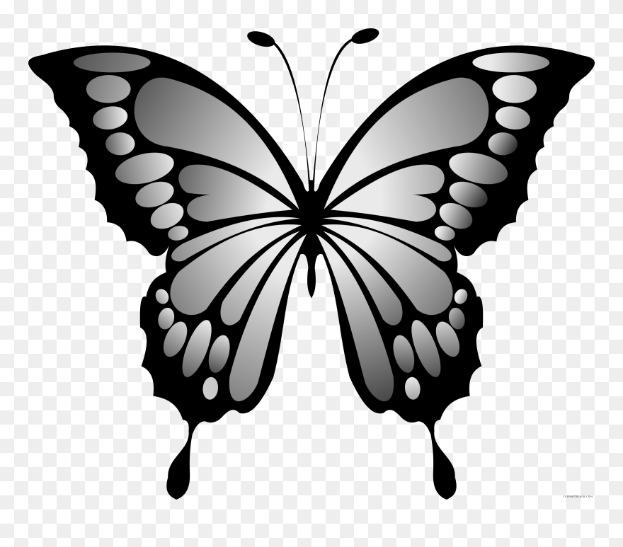 Wonderful Butterfly Animal Free Black White Clipart - Blue Butterfly Wings Png Transparent Png
