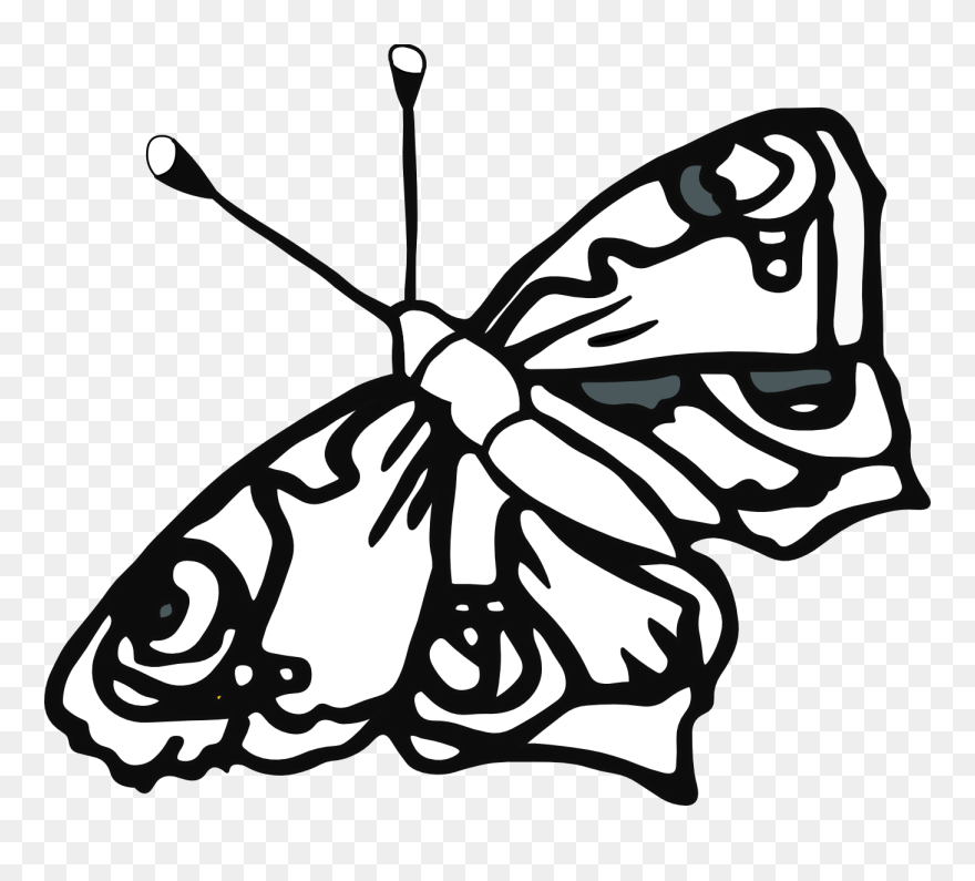 Butterfly 58 Black White Line Art Tatoo Tattoo Svg - Butterfly Coloring Pages Png Clipart