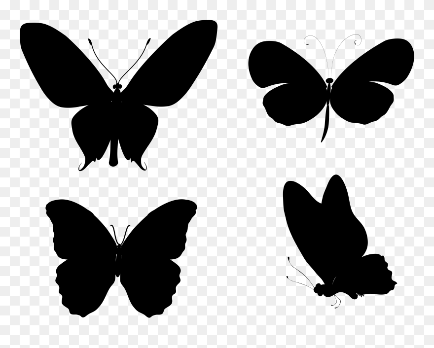 Monarch Butterfly Insect Silhouette Drawing - Betterfly Black And White Clipart