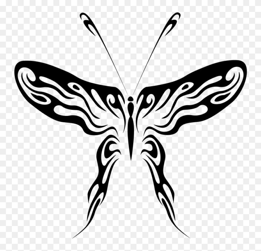 Monarch Butterfly Clipart Stencil - Butterfly Line Art Png Transparent Png