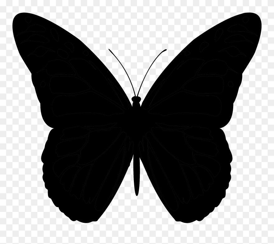 Butterfly Vector Graphics Clip Art Silhouette - Butterflies Drawings Silhouette - Png Download