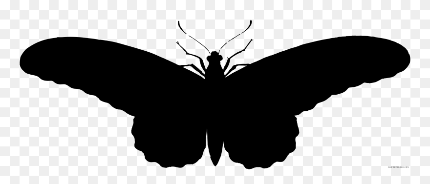 Butterfly Clipart Silhouette - Black Moth Png Transparent Png