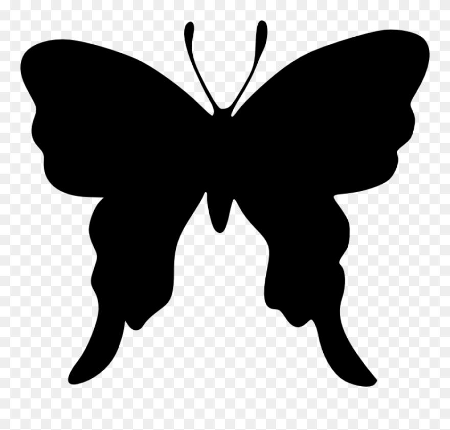 Brush-footed Butterflies Butterfly Silhouette Drawing - Draw A Butterfly Silhouette Clipart