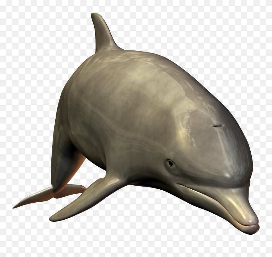 Dolphins Clipart Transparent Background - Png Dolphin With White Background