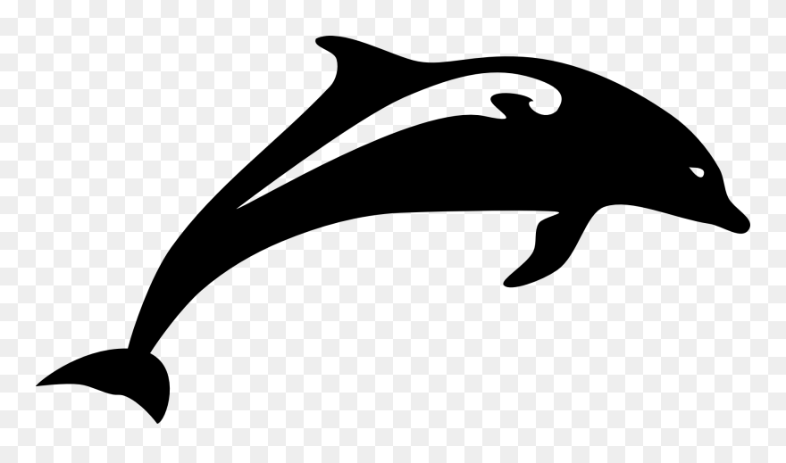 Dolphin Clip Art - Dolphin Fish Black And White - Png Download