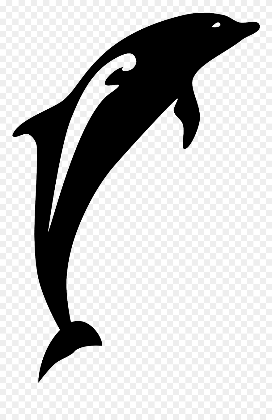 Dolphin Vector Clipart