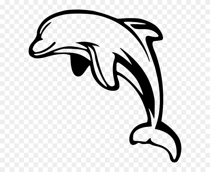 Download Hd Dolphin Clipart Black And White Dolphin - Dolphin Clipart Black And White - Png Download