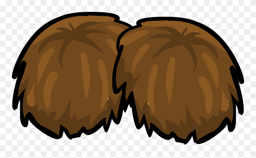 Club Penguin Wiki - Pom Pom Clipart Transparent - Png Download