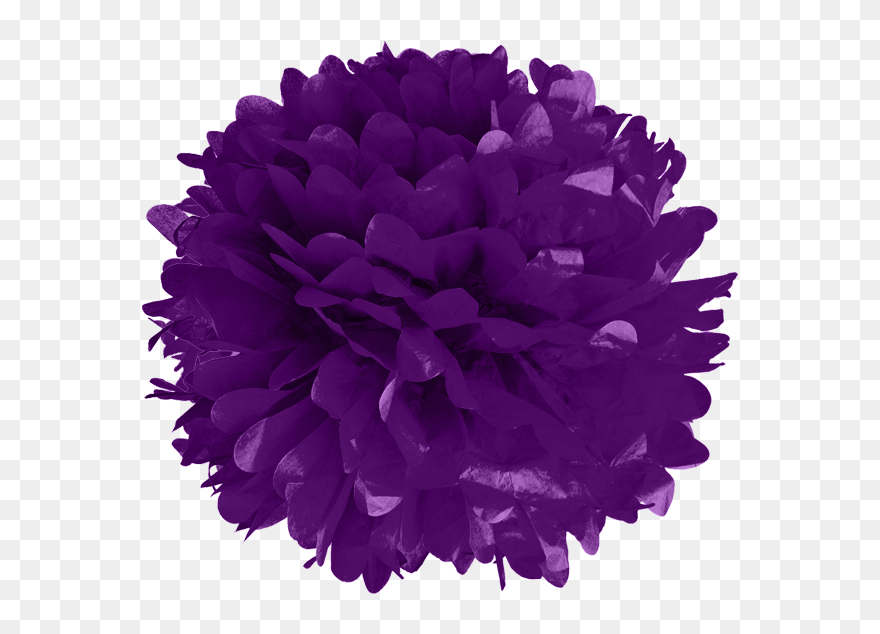 Purple Tissue Pom Poms - Pom-pom Clipart