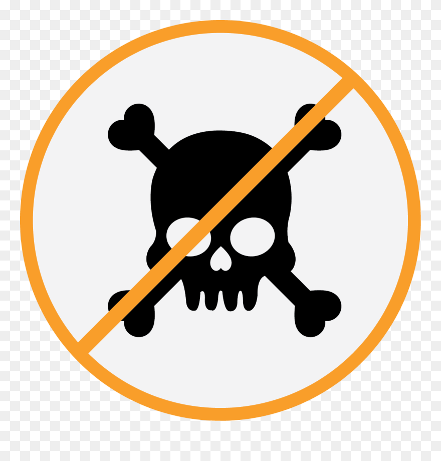 Human Skull Symbolism Silhouette Clip Art - Marktbrunnen - Png Download