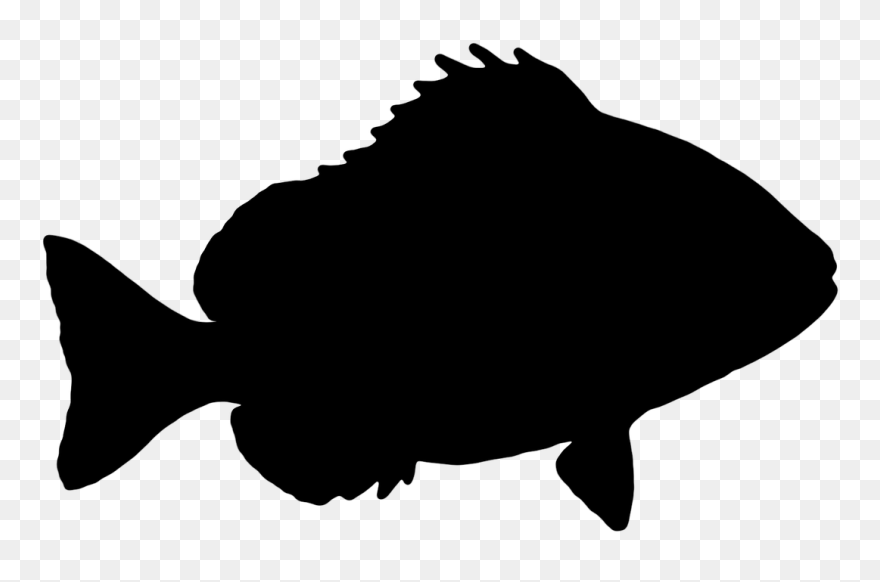 Fish Silhouette Clip Art - Fish Silhouette Transparent Background - Png Download