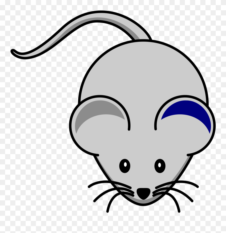 Grey Mouse Clipart - Png Download