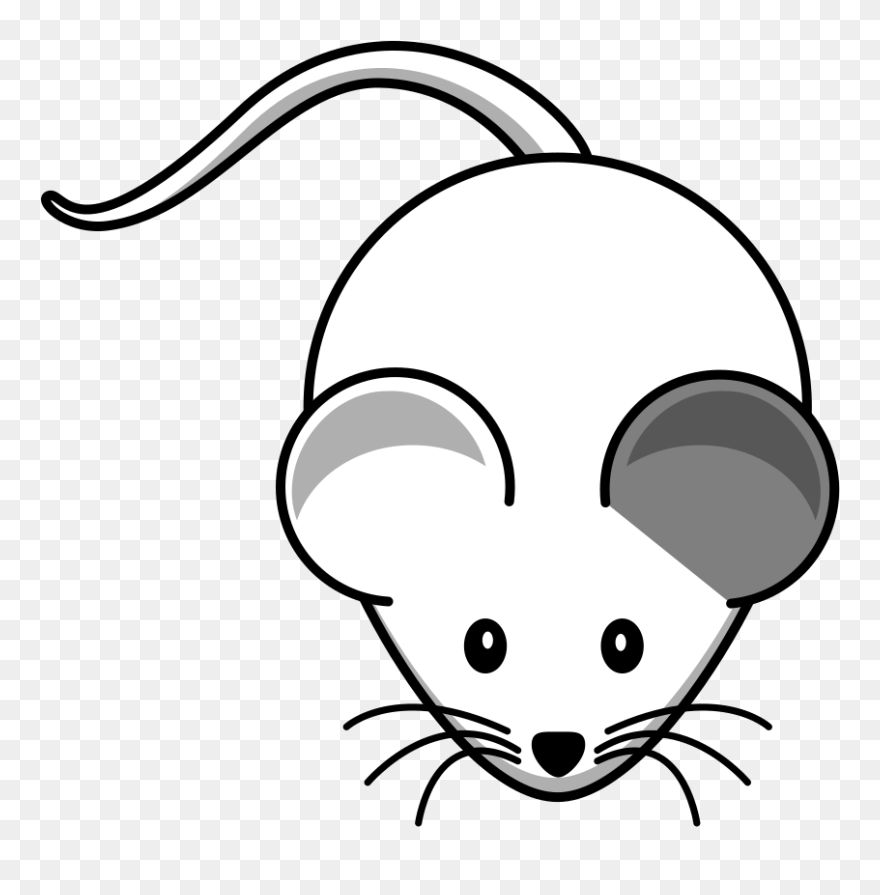 Cartoon Mouse Clipart