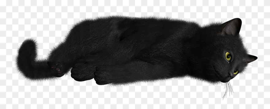 Black Cat Png - Black Cat Transparent Background Clipart