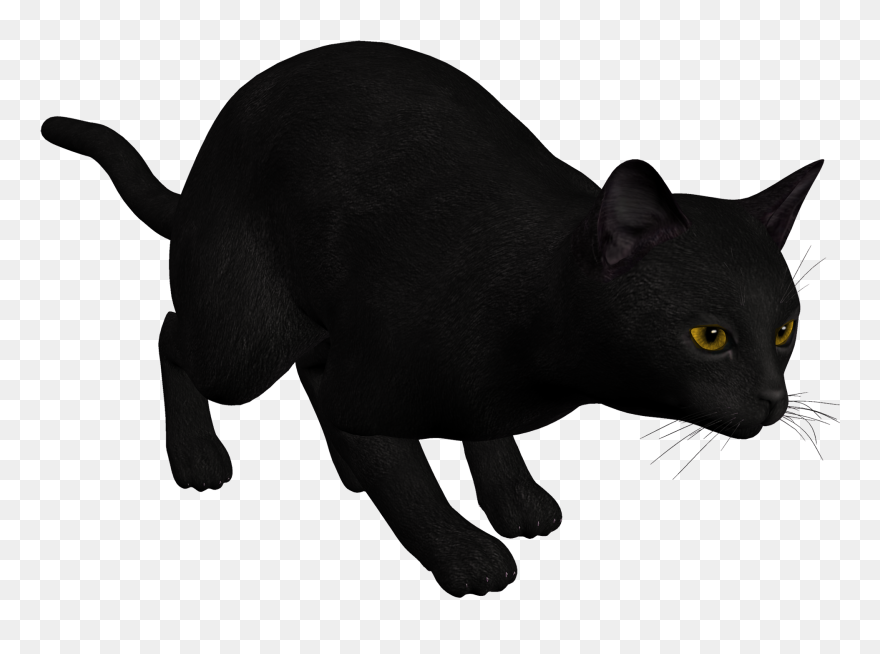 Clipart Black Cat Picture Transparent Stock Cat Black - Cat Pouncing Transparent - Png Download