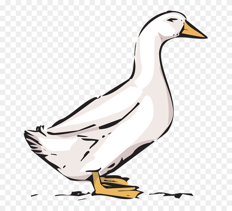 Duck On Farm Clip Art , Png Download - Bebek Clipart Transparent Png