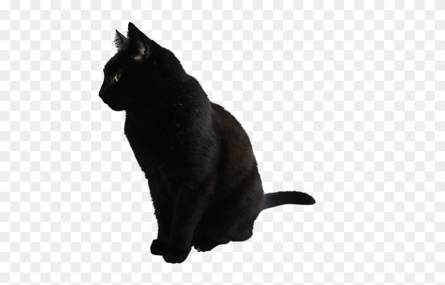 Black Cat Png Clipart