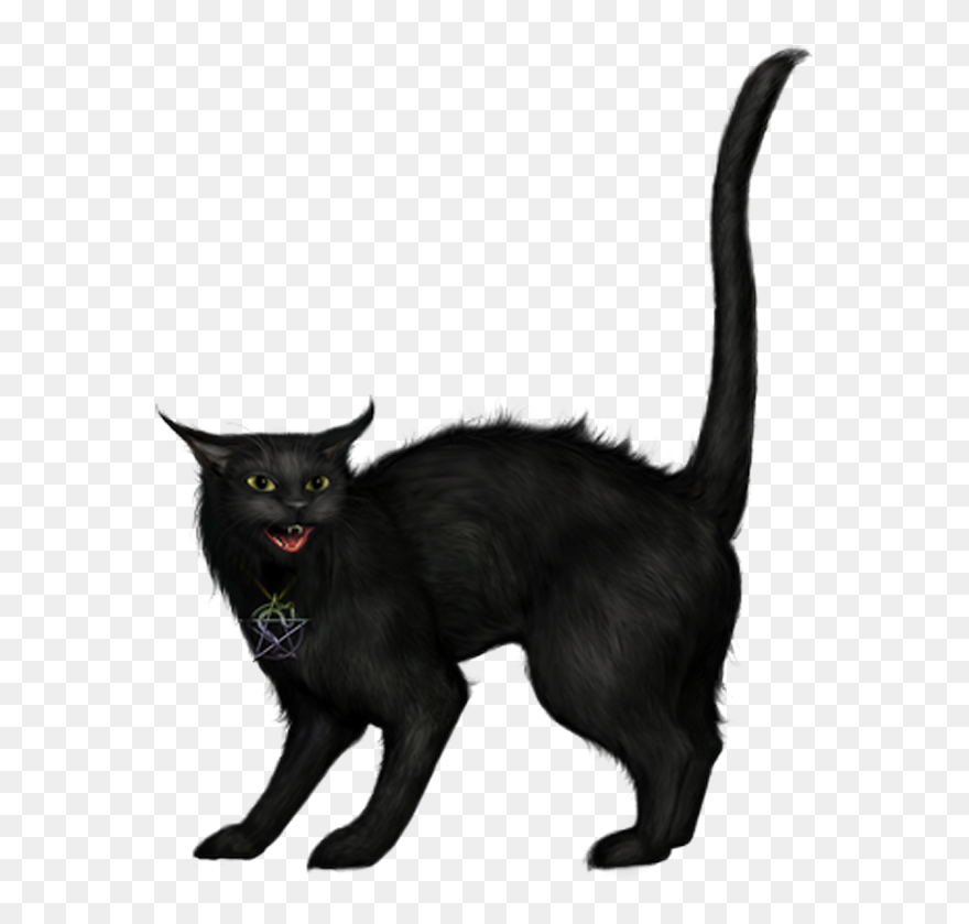 Creepy Black Cat Png Picture - Black Cat Png Clipart