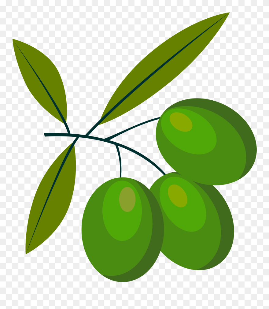 Plant,leaf,food - Olive Clipart - Png Download