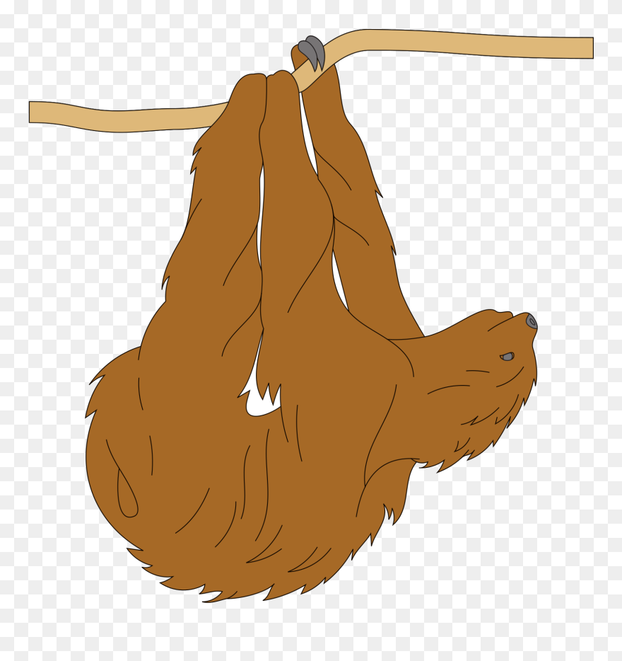 Sloths Clipart
