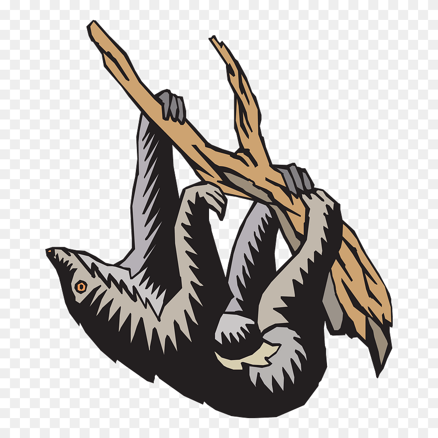 Sloth Hanging From Tree Clipart - Clip Art - Png Download