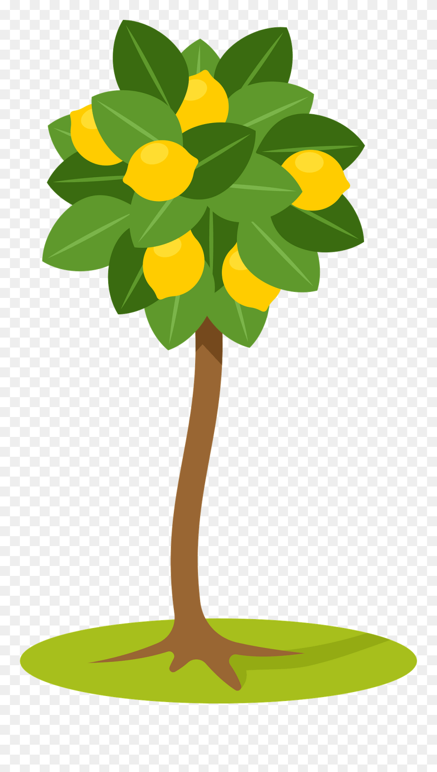 Lemon Tree Vector Pdv Clipart - Lemon Tree Clipart Png Transparent Png