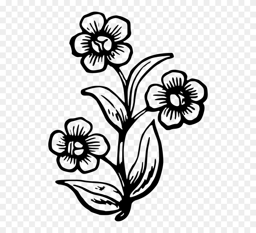 Flower Images Drawing Easy Clipart