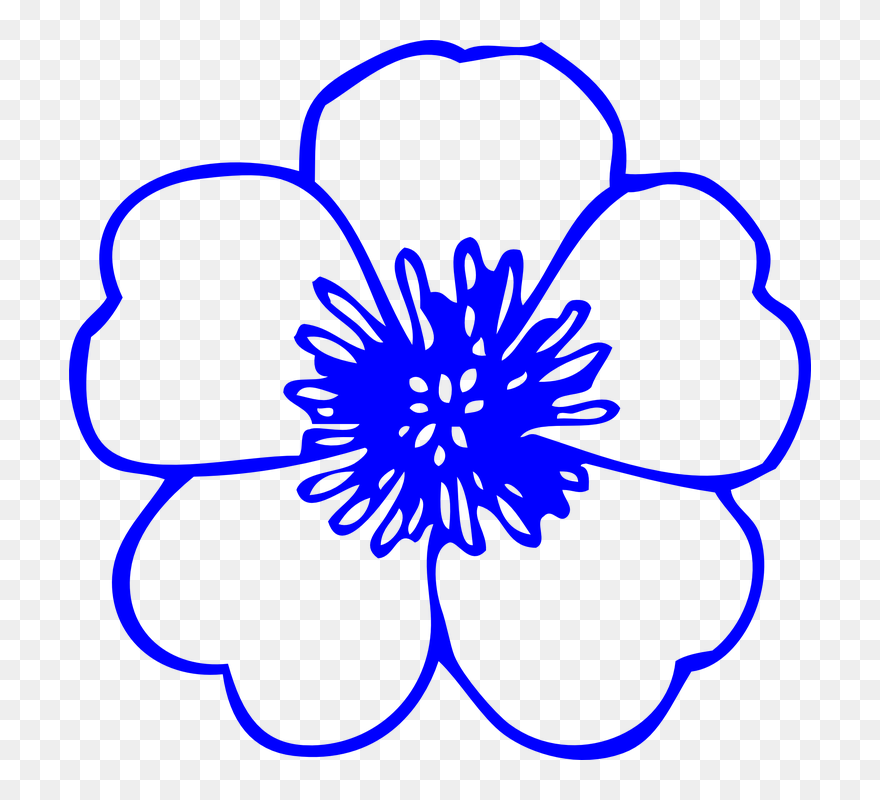 Royal Blue Watercolor Floral Clipart ~ Illustrations - Drawing Of Simple Flowers - Png Download