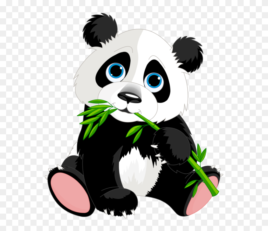 Panda Photo - Panda Clipart - Png Download
