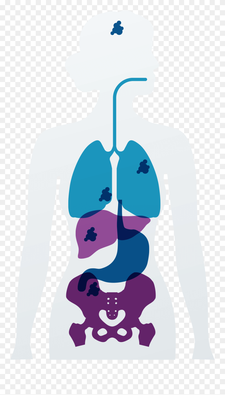 Illustration Clipart