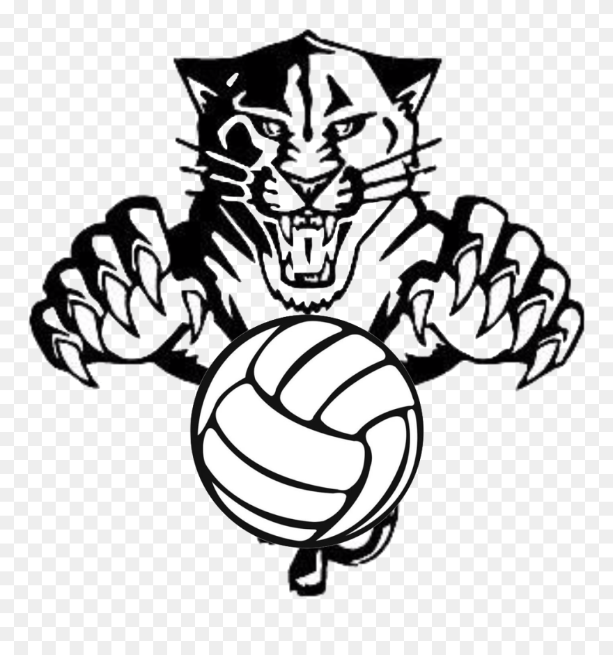 Tiger Volleyball Clip Art - Png Download