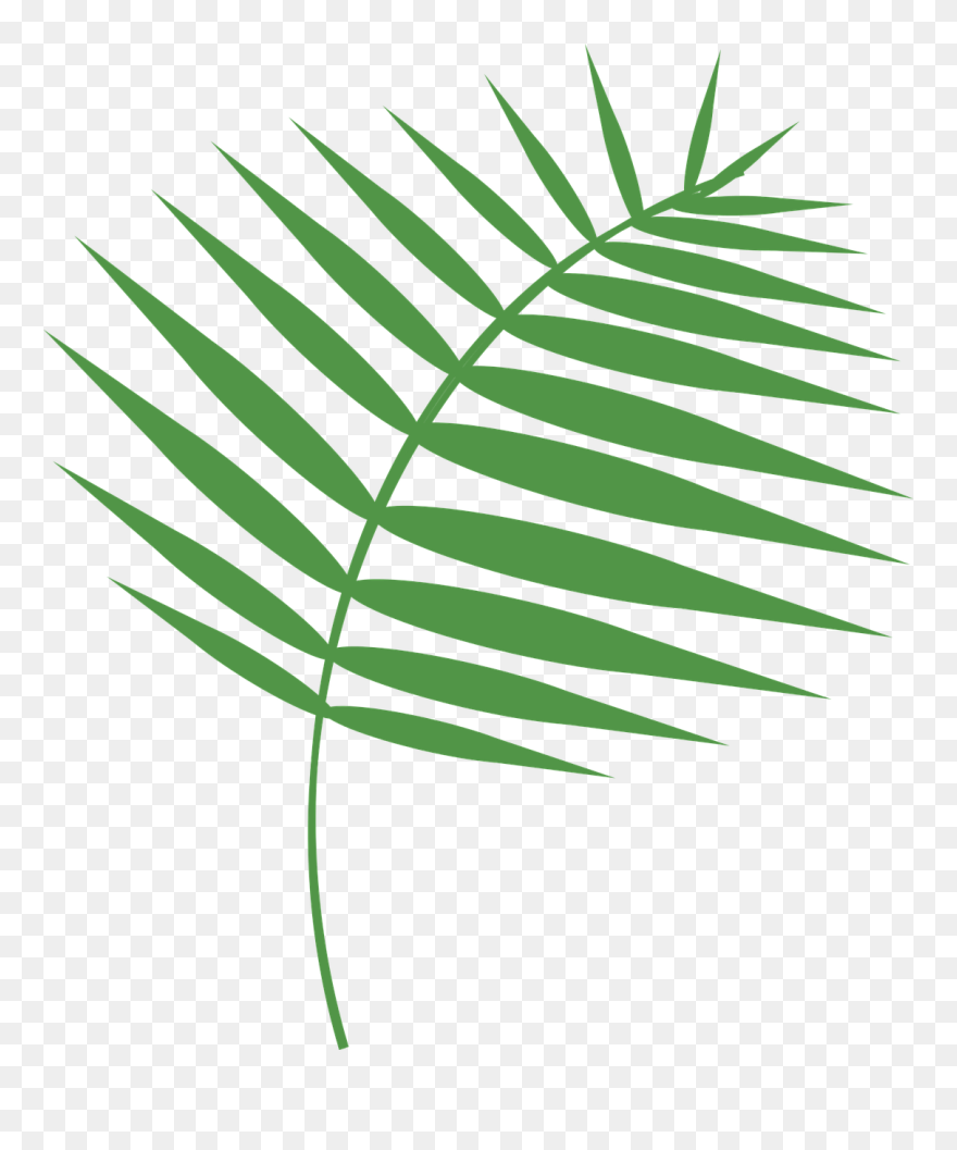 Transparent Free Holy Week Clipart - Palm Sunday Images Download - Png Download