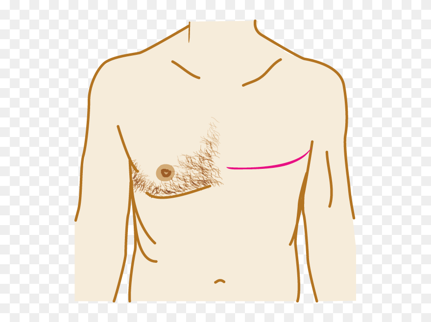 Illustration Clipart