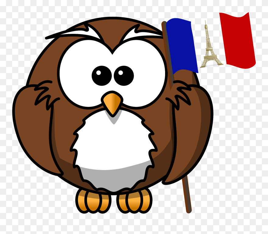 Cartoon Owl Clipart
