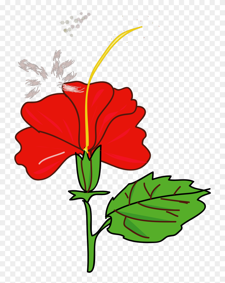 Gumamela Clipart Black And White - Png Download