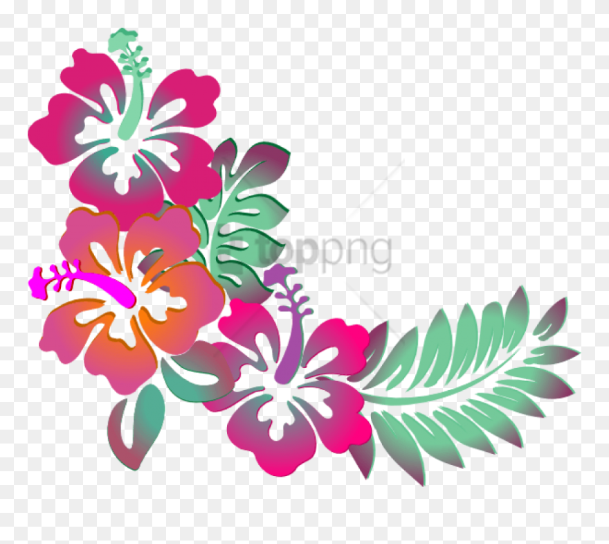 Free Png Colorful Floral Corner Borders Png Png Image - Hibiscus Clip Art Transparent Png