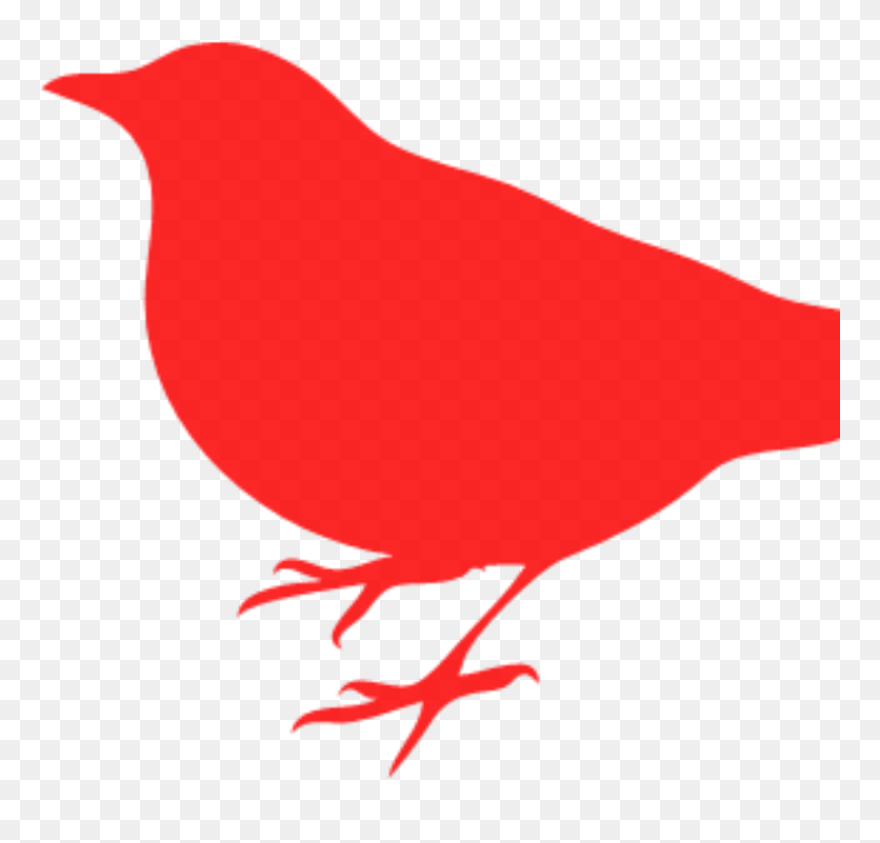 Kill A Mockingbird Bird Clipart