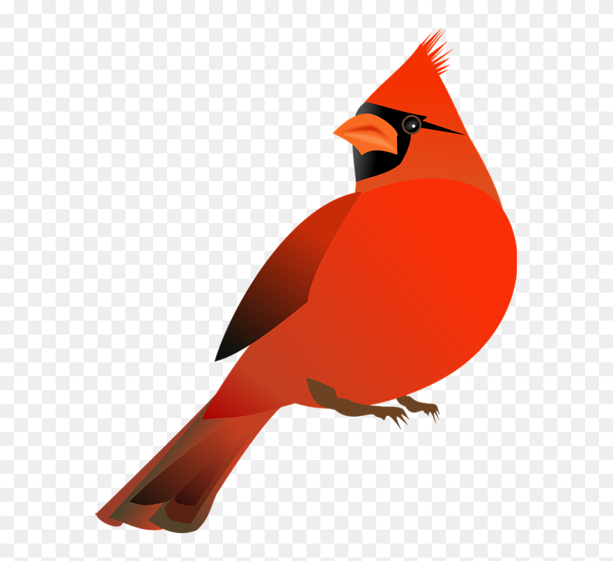 Cardinal Clipart Northern Cardinal - Cardinal Clip Art Free - Png Download