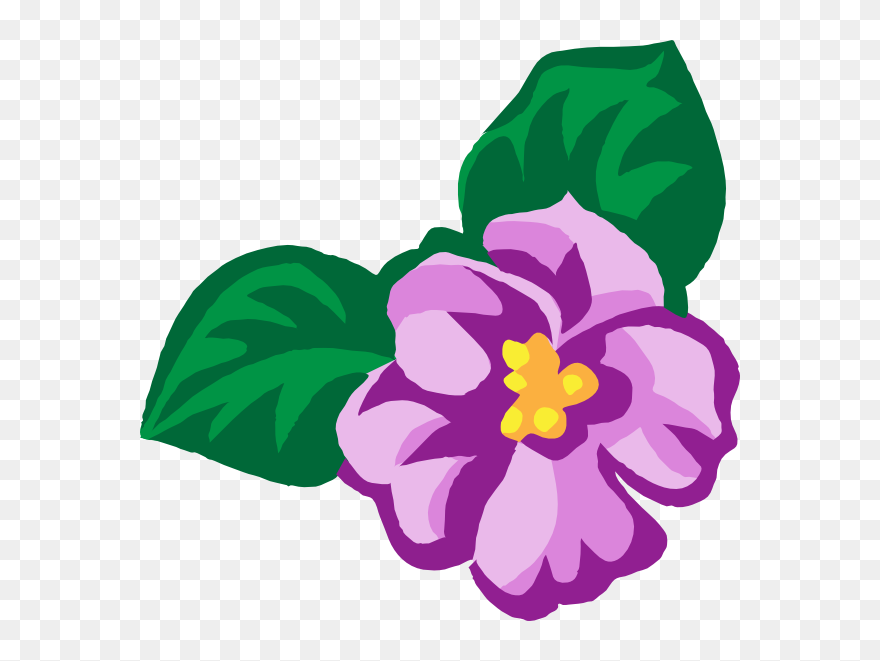 African Violet Clipart - Png Download