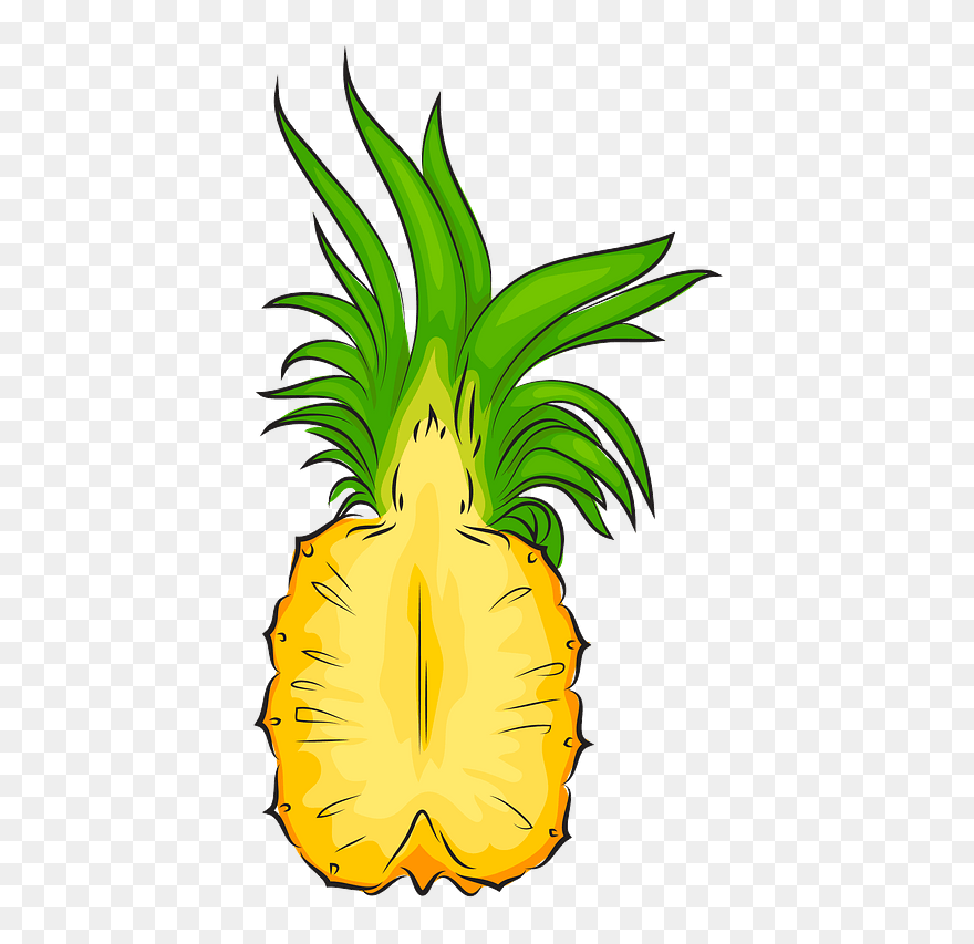 Pineapple Cut In Half Clipart - Half Pineapple Clipart - Png Download