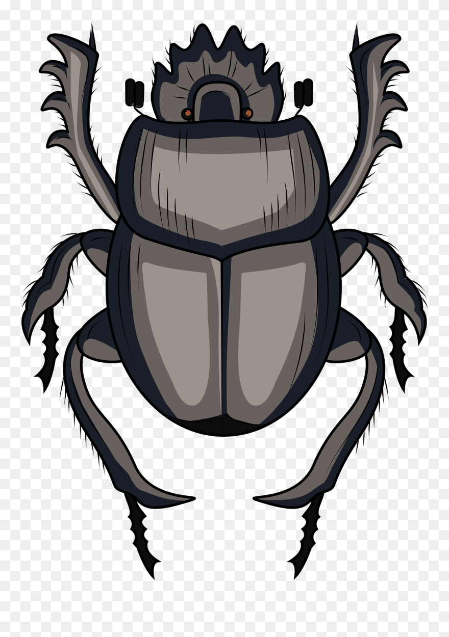 Scarabaeus Dung Beetle Clipart - Dung Beetle Clipart - Png Download