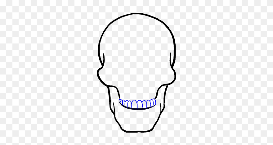 Skull Line Art - نقاشی جمجمه با مداد Clipart