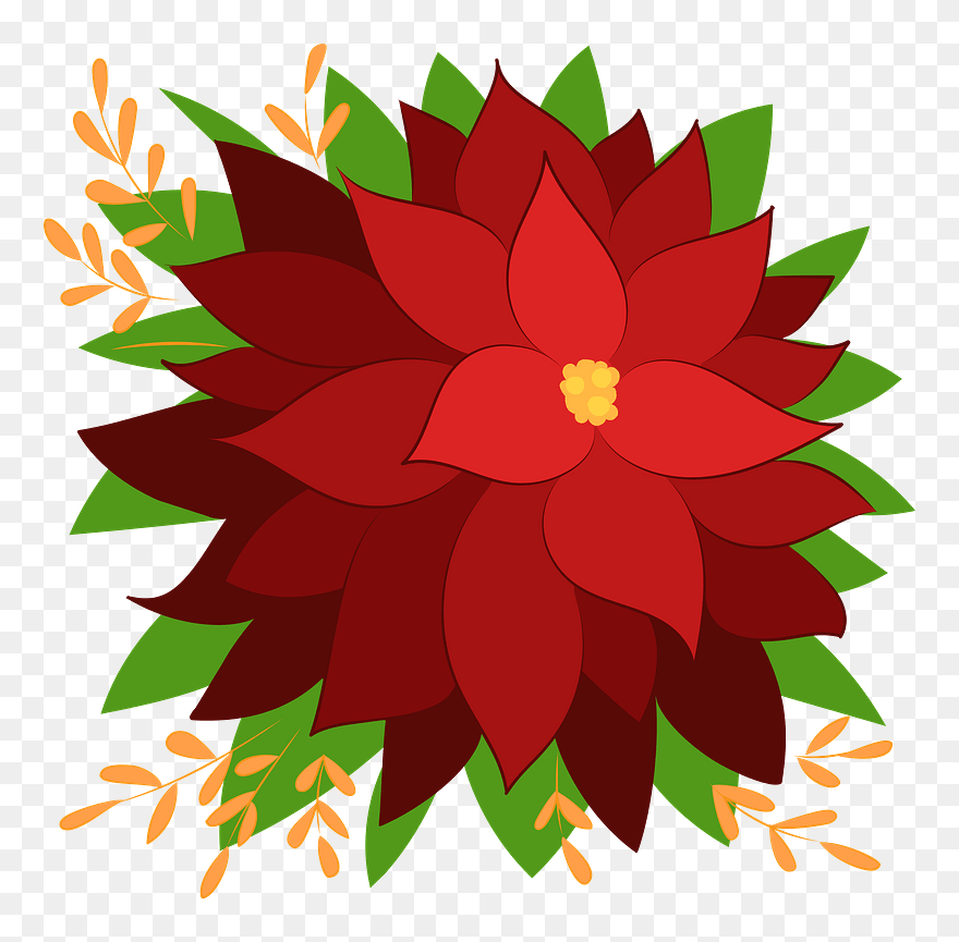 Poinsettia Clipart - Dahlia - Png Download