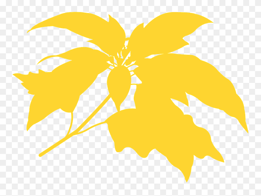 Illustration Clipart