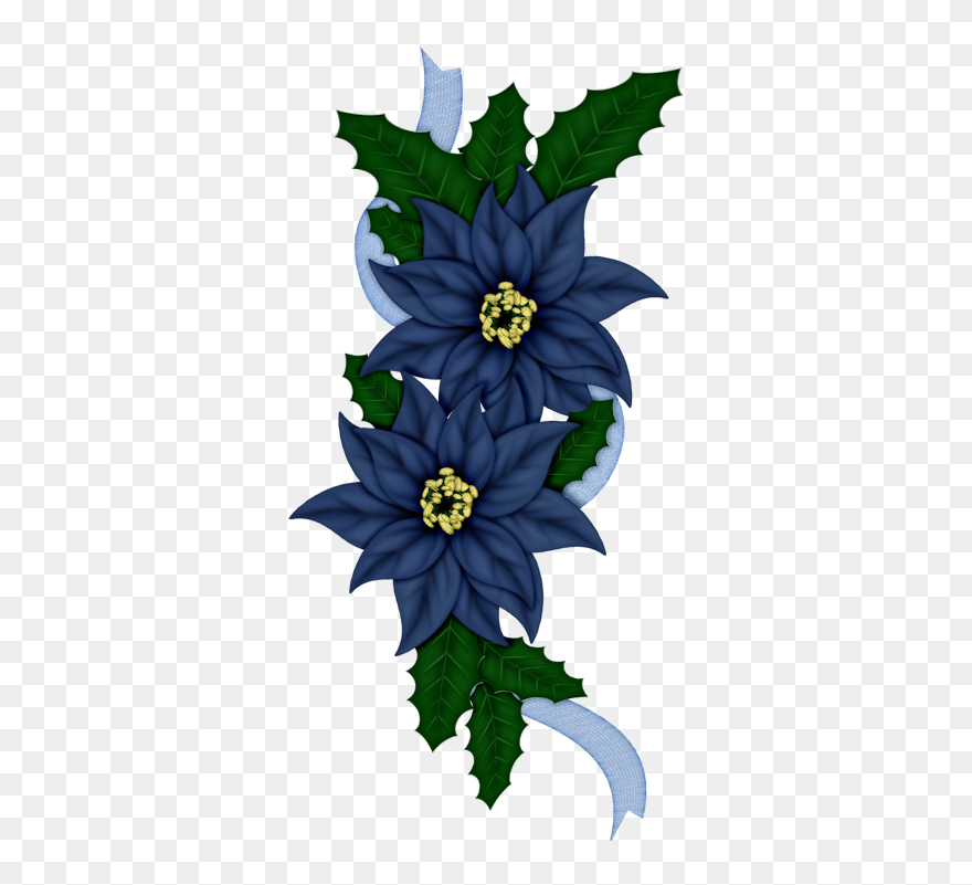 Blue And White Poinsettia Flowers Clipart